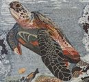Sea Turtle Swimming in Coral Reef Mosaic close-up