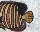 Striped Tang Mosaic close-up