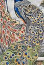 Brightly Colored Peacocks by the Sea Mosaic close-up