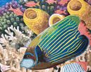 Sea Turtle Mosaic close-up