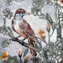 Зимородок и удод, мозаика крупным планом