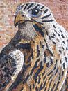 Mosaik Falke Zoom