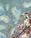 Hawk Mosaic close-up