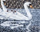 Pond Swans Mosaic Art крупным планом