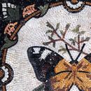 Бабочка Мозаика крупным планом