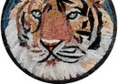 Tiger Face Mosaic Coasters close-up