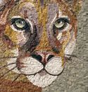 Mosaik Puma, 60 cm Zoom