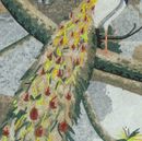 Pfau auf Ast Mosaik Zoom