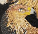 Portrait of Lion and Eagle Mosaic крупным планом