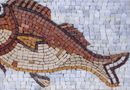 Maroon Carp Mosaic close-up