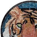 Tiger Face Mosaic Coasters close-up
