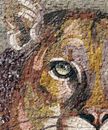 Mosaik Puma, 60 cm Zoom
