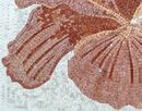 Pink Hibiscus Flower Mosaic close-up