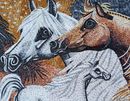 Лошади Мозаика крупным планом