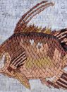 Rosafarbener Drückerfisch Mosaik Zoom