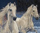 Ночные скакуны, мозаика крупным планом