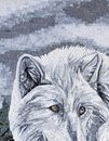 Wolf und Weißkopfseeadler in den Bergen Mosaik, 100x135 cm Zoom