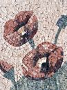 Crimson Poppies Mosaic close-up