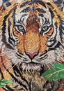 Jungle Bengal Tiger Mosaic Wall Art крупным планом