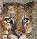 Mosaik Puma, 60 cm Zoom