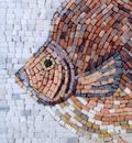 Rosy Fish Mosaic close-up