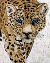 A Lone Jaguar Mosaic close-up