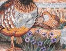 Partridge Mosaic close-up