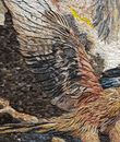 Bird of Prey Double Exposure Mosaic close-up