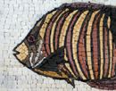 Striped Tang Mosaic close-up