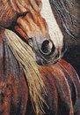 Brown Horse Mosaic Portrait close-up
