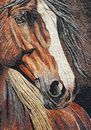 Brown Horse Mosaic Portrait close-up