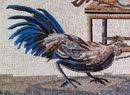 Fighting Roosters Mosaic close-up