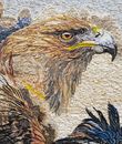 Bird of Prey Double Exposure Mosaic close-up