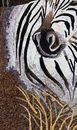 Zebra in Grass Mosaic close-up