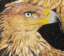 Portrait of Lion and Eagle Mosaic крупным планом