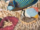 Sea Turtle Mosaic close-up