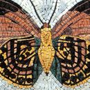 Brown Butterfly Mosaic, 24" close-up