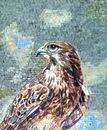 Hawk Mosaic close-up