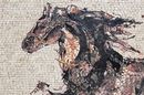 Abstract Galloping Horse Mosaic крупным планом