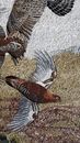 Large Birds in Flight Mosaic крупным планом