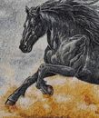 Black Stallion Mosaic Wall Art крупным планом