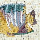 Мозаика, рыба крупным планом