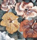 Hibiscus Mosaic close-up