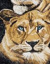 Portrait of Lion and Lioness Mosaic крупным планом