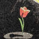 Rose im Scheinwerferlicht Mosaik, 55 cm Zoom