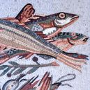 Рыбы, утки, мозаика крупным планом