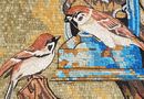 Two Sparrows on Tree Branch Mosaic крупным планом