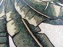 Oasis Palm Mosaic close-up