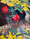 Van Gogh Poppy Flowers Mosaic Reproduction крупным планом