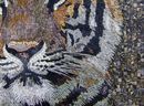 Tiger Bengalisch Mosaik Zoom